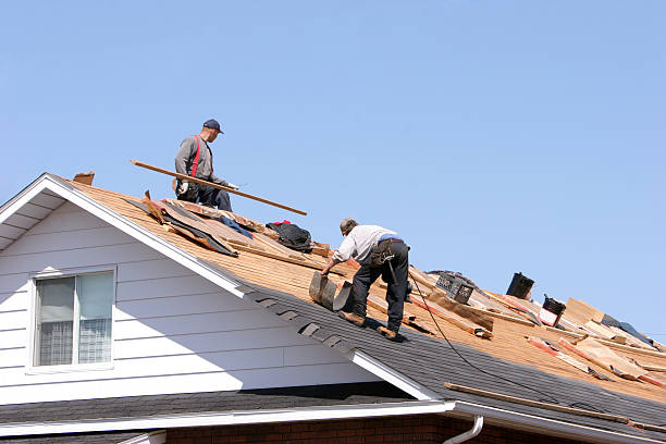 Best Roof Ventilation Installation  in Lake Stickney, WA